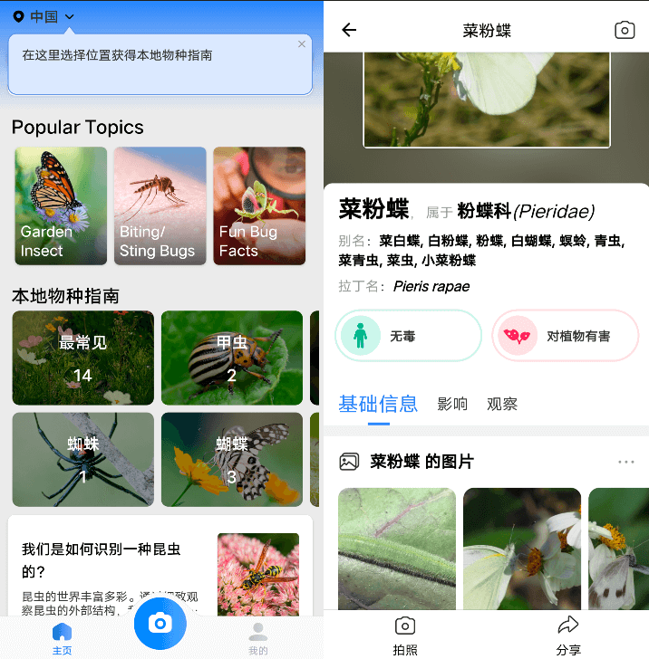 Android Picture Insect 昆虫识别器_v2.8.32